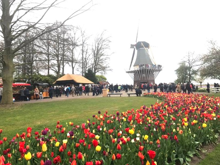 Keukenhof Festival - Amsterdam
