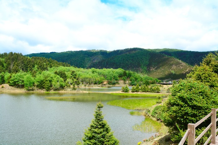 CÔNG VIÊN XANH POTATSO - PHỔ ĐẠT THỐ