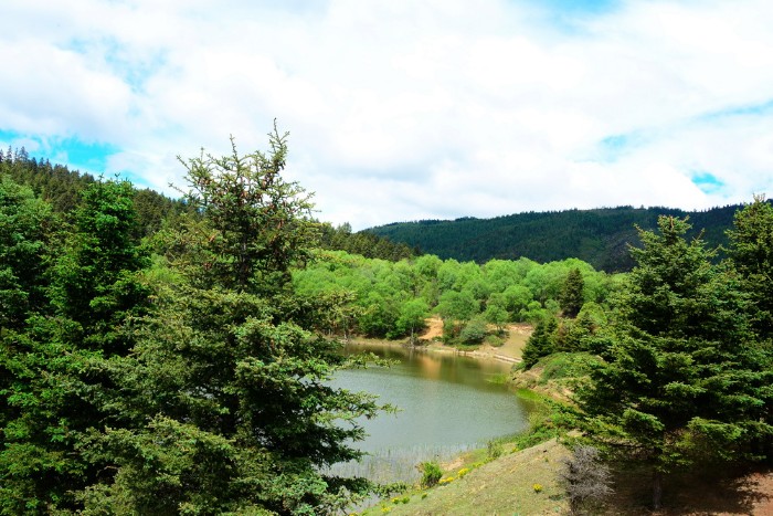 CÔNG VIÊN XANH POTATSO - PHỔ ĐẠT THỐ