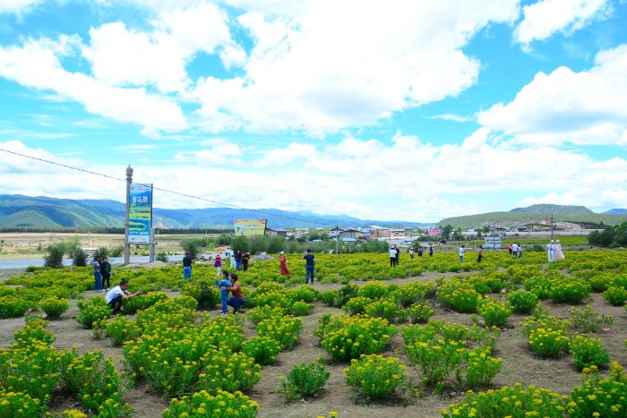 CÔNG VIÊN XANH POTATSO - PHỔ ĐẠT THỐ