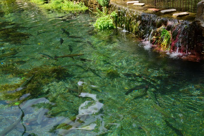 NGỌC THỦY TRẠI VÀ NỮ THẦN THIÊN NHIÊN