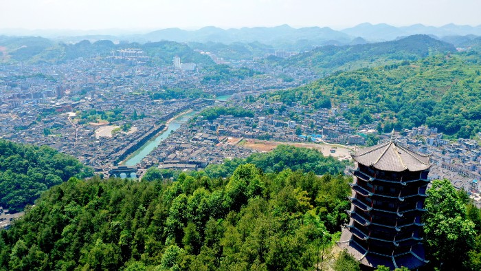 PHƯỢNG HOÀNG CỔ TRẤN - ĐÃ YÊU SAO CÒN CHỜ