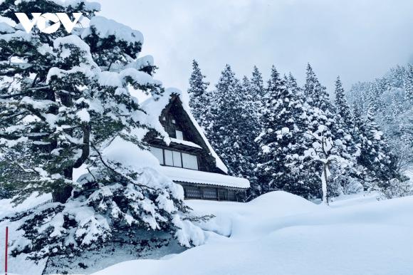 Ngẩn ngơ ngắm mùa đông cổ tích ở Shirakawa-go, Nhật Bản
