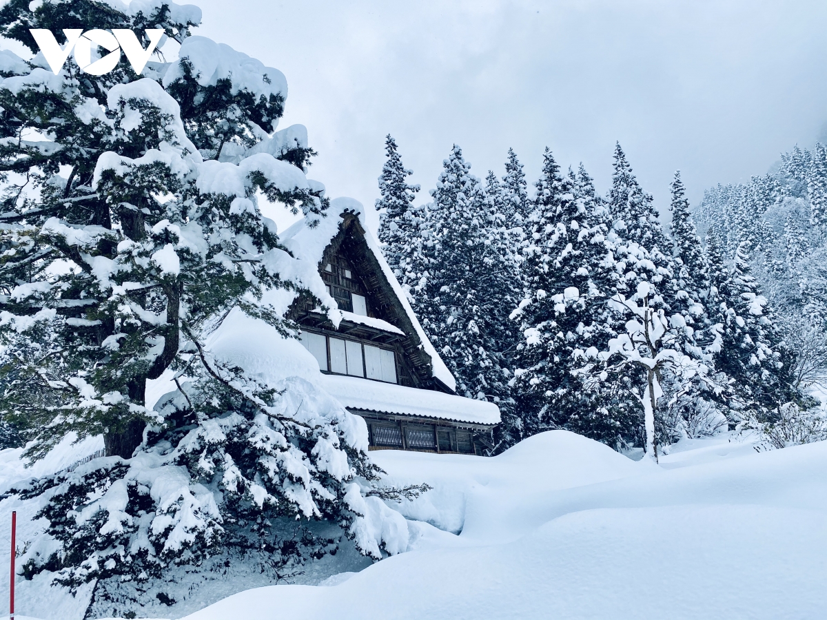 TSTtourist-ngan-ngo-ngam-mua-dong-co-tich-o-shirakawa-go-nhat-ban-7