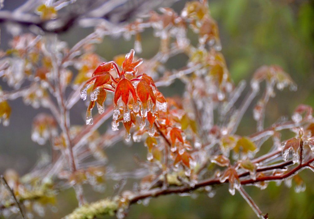 TSTtourist-du-khach-thich-thu-xem-bang-gia-o-mau-son-9