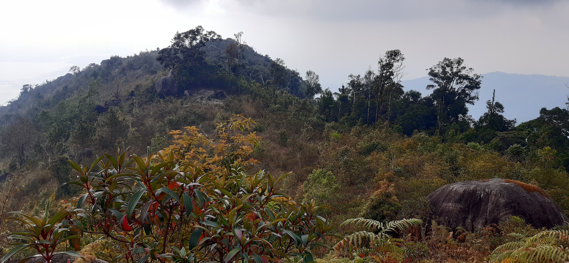 TSTtourist-duong-den-vuon-thien-dang-tren-dinh-chu-nam-4