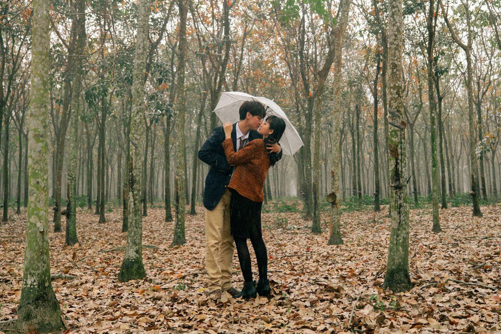 tsttourist-rung-cao-su-dau-tieng-mua-thay-la-3