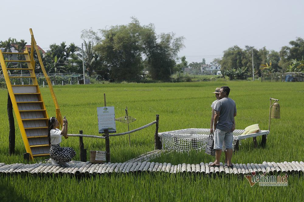 TSTtourist-gioi-tre-say-me-tim-ve-canh-dong-lua-lam-dieu-yeu-thich-13