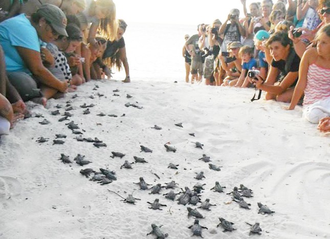 TSTtourist-con-dao-tu-dia-nguc-toi-thien-duong-du-lich-tam-linh-va-sinh-thai-2