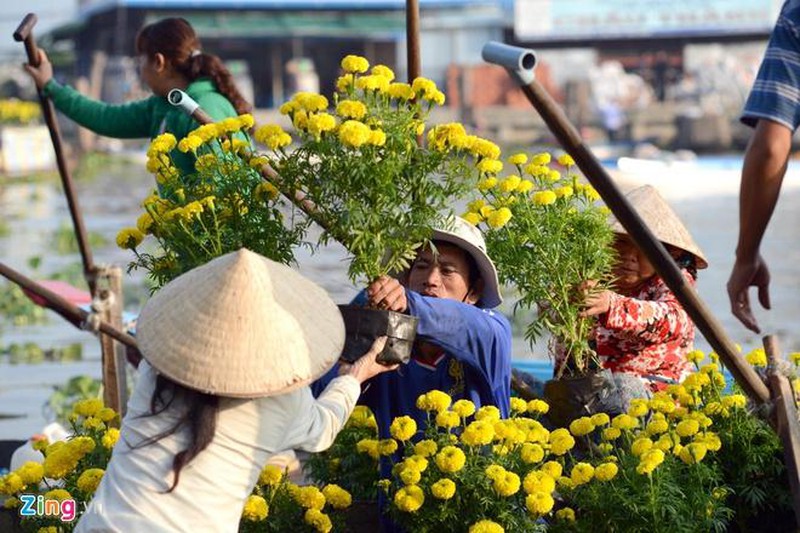 TSTtourist-dac-sac-cay-beo-o-cho-noi-mien-tay-3