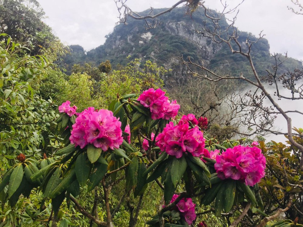 TSTtourist-mua-do-quyen-tren-dinh-putaleng-4