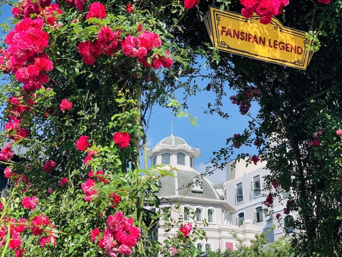 TSTtourist-xu-so-hoa-hong-tren-fansipan-dip-30-4-1