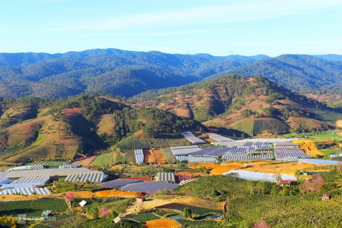 TSTtourist-an-choi-tranh-dam-dong-o-da-lat-dot-nghi-30-4-1