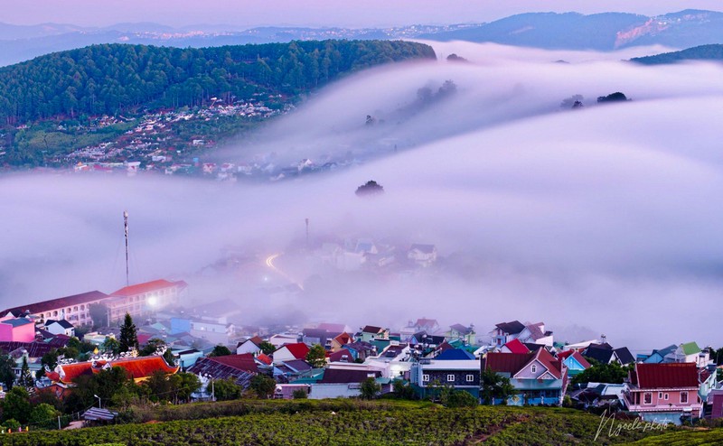TSTtourist-ve-cau-dat-thuong-tra-ngam-doi-che-tram-tuoi-3