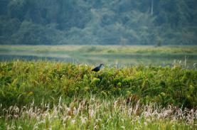 4 khu rừng nhiệt đới gần TP.HCM cho kỳ nghỉ lễ