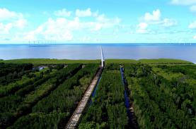 Bạc Liêu phát triển du lịch sinh thái rừng, nâng cao sinh kế người dân