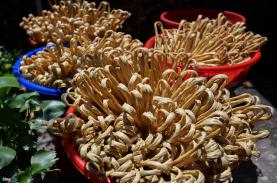 Nghề làm tàu hũ ky ở miền Tây vừa được công nhận di sản