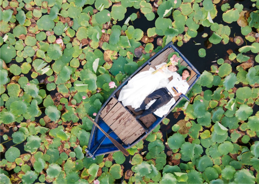 TSTtourist-bau-sen-binh-dinh-4