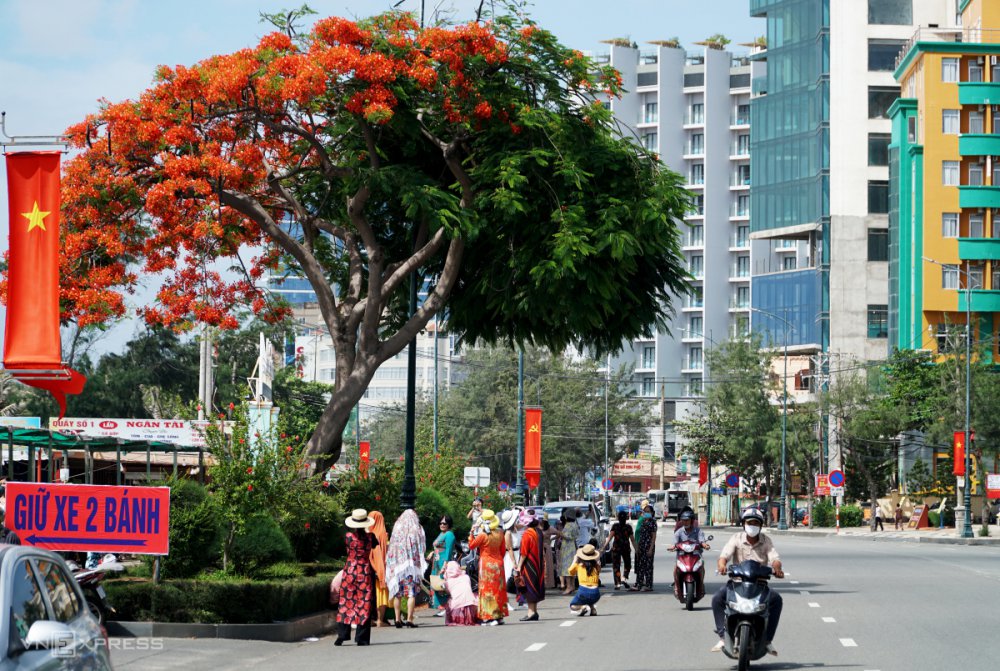 TSTtourist-cay-phuong-nua-la-nua-hoa-2