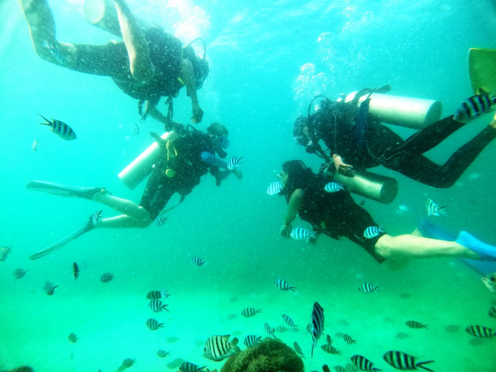 TSTtourist-giac-mo-bien-o-phu-quoc-3