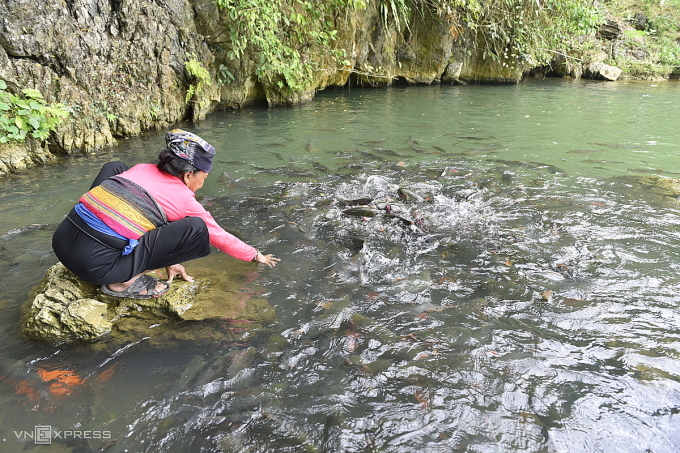 TSTtourist-hang-ca-than-hang-nghin-con-doi-mau-theo-thoi-tiet-2