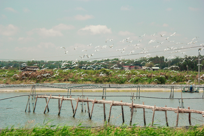 TSTtourist-mot-ngay-phuot-cu-lao-tan-phu-dong-1