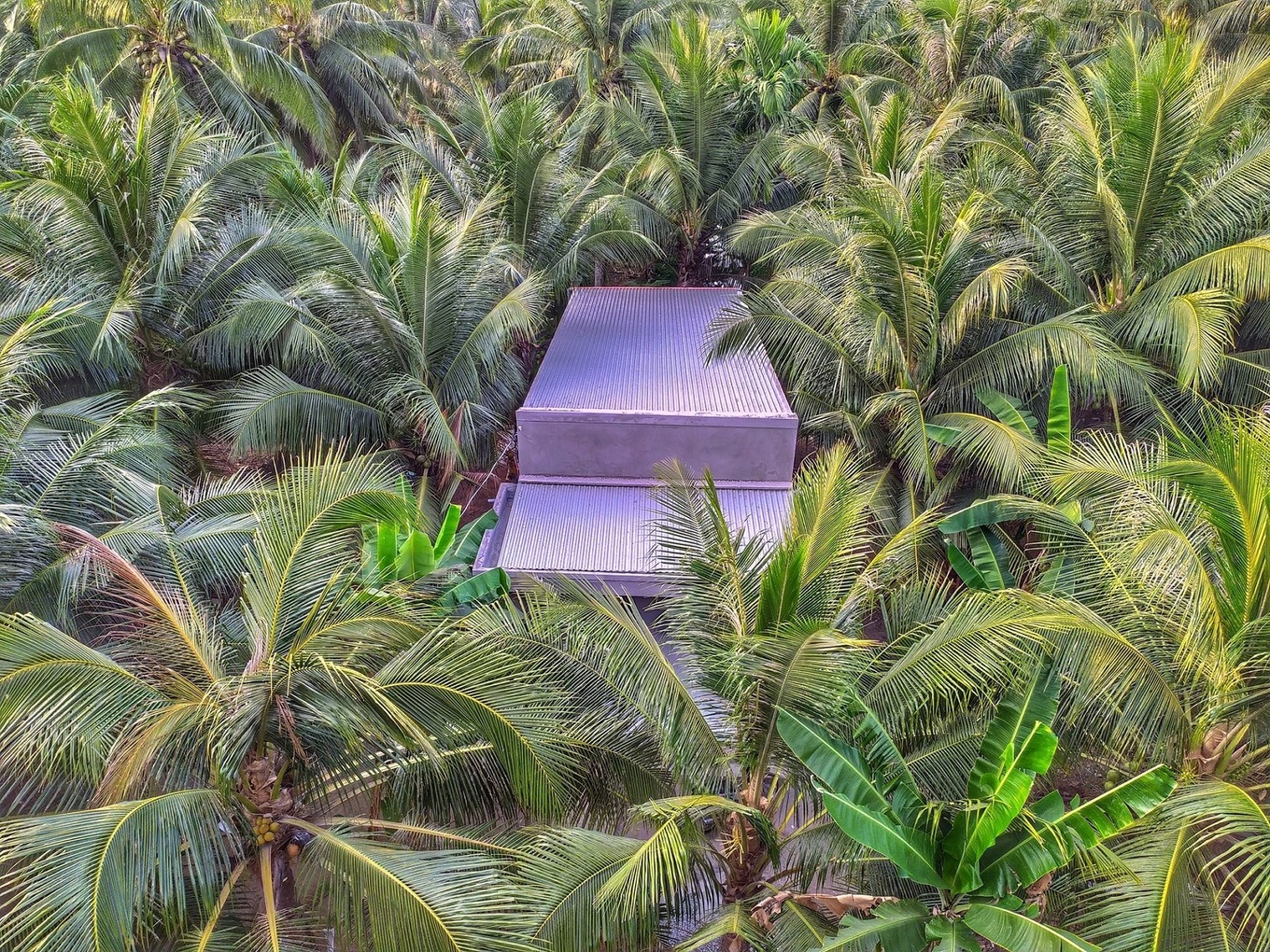 TSTtourist-xu-dua-ben-tre-yen-binh-1