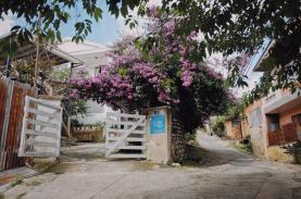 Ba homestay có tên lạ ở Đà Lạt