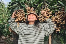 Hè này vi vu miền Tây với "tour vườn trái cây": Cảnh đẹp nghìn like, còn được ăn ngon