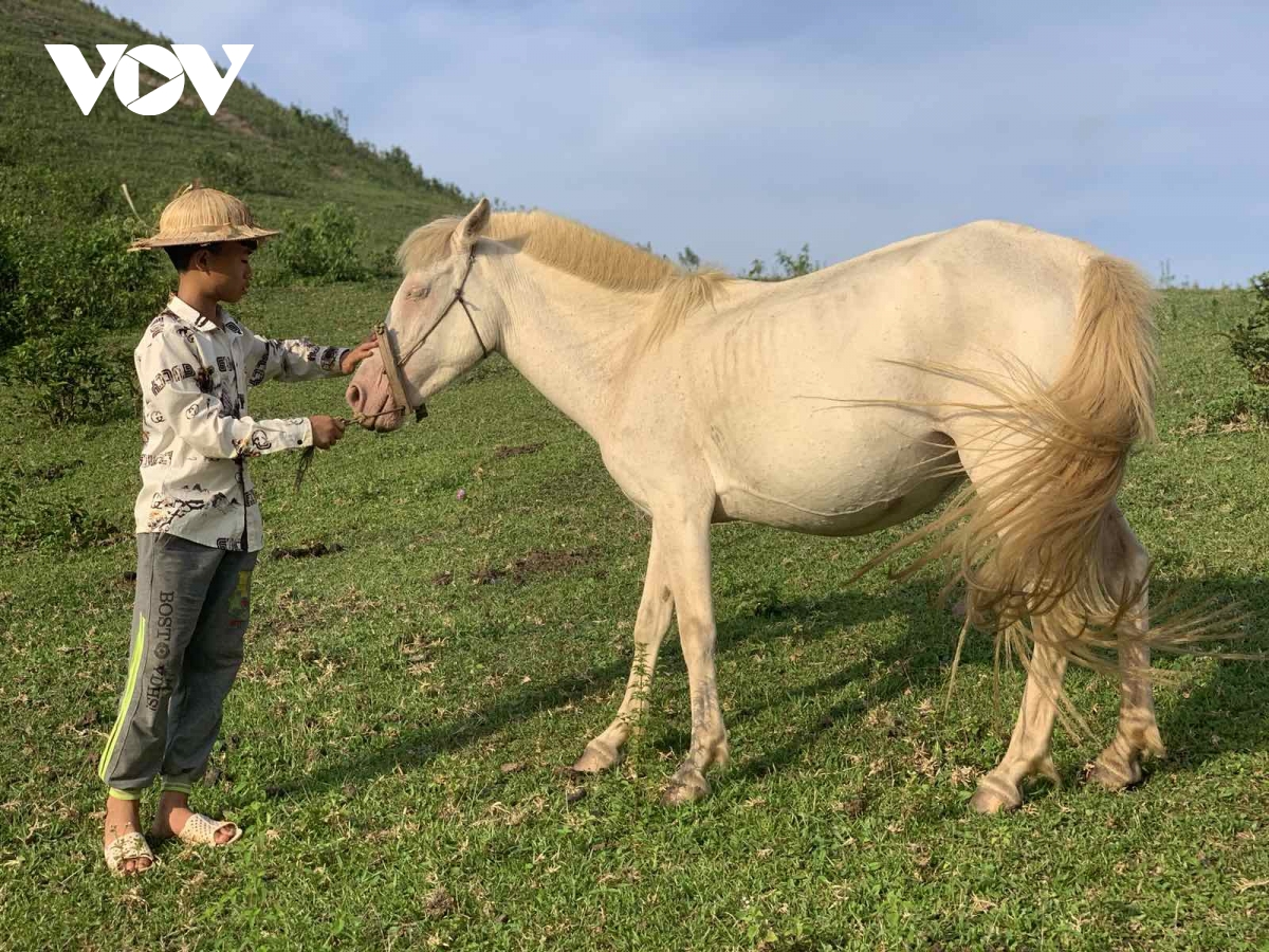TSTtourist-den-tham-vuong-quoc-ngua-bach-xu-lang-2