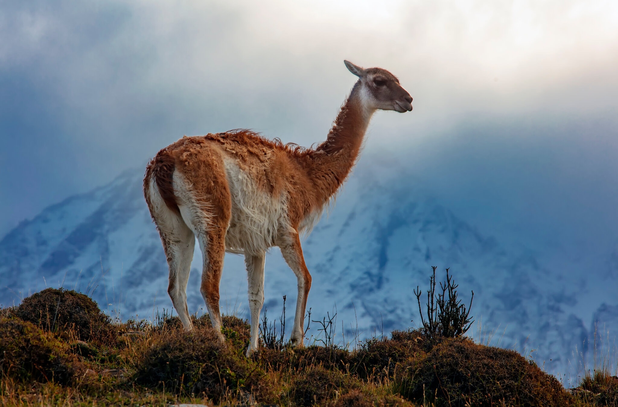 TSTtourist-mua-thu-o-noi-tan-cung-trai-dat-2