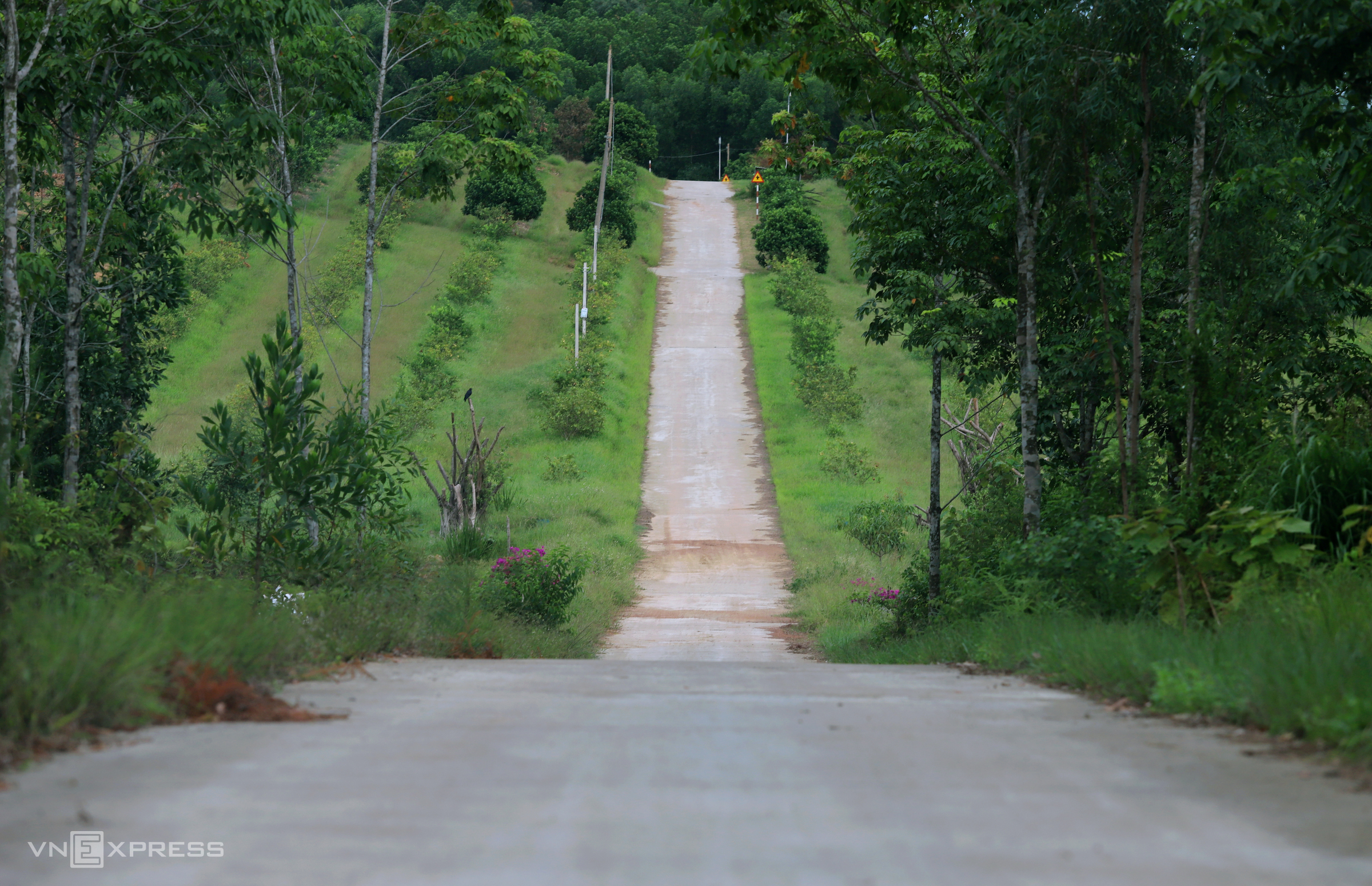 TSTtourist-noi-du-khach-bo-pho-len-rung-o-ha-tinh-2
