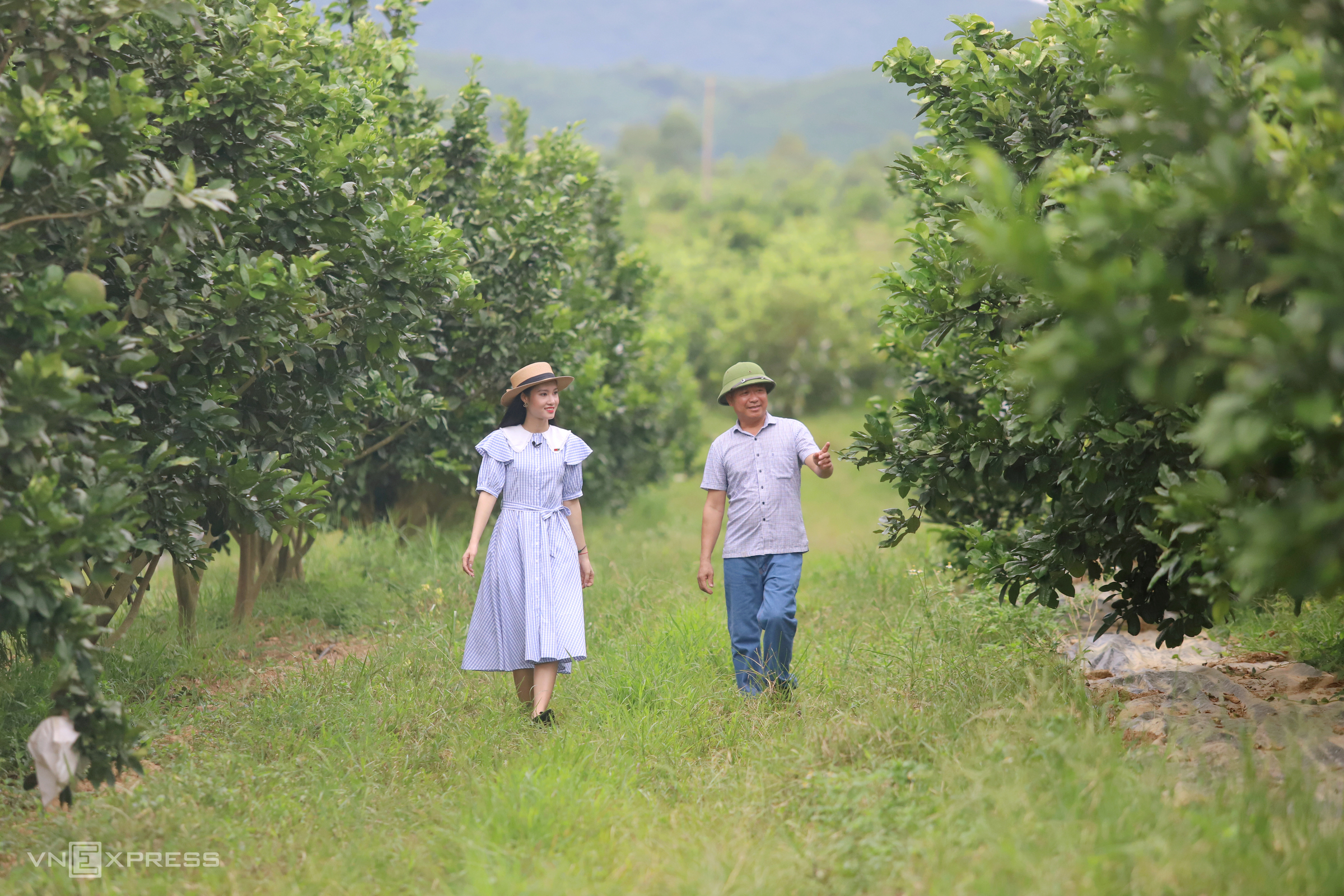 TSTtourist-noi-du-khach-bo-pho-len-rung-o-ha-tinh-4