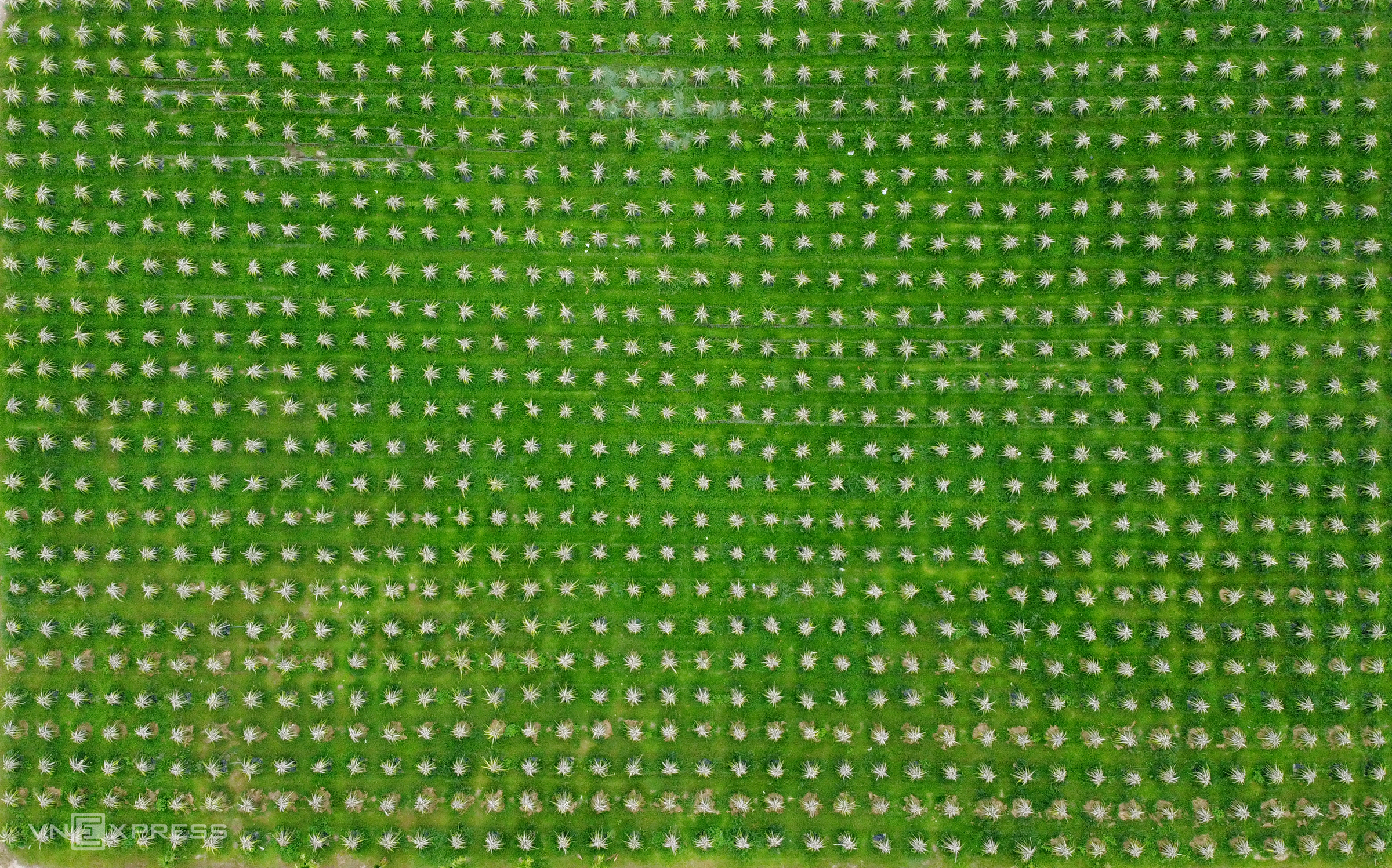 TSTtourist-noi-du-khach-bo-pho-len-rung-o-ha-tinh-5