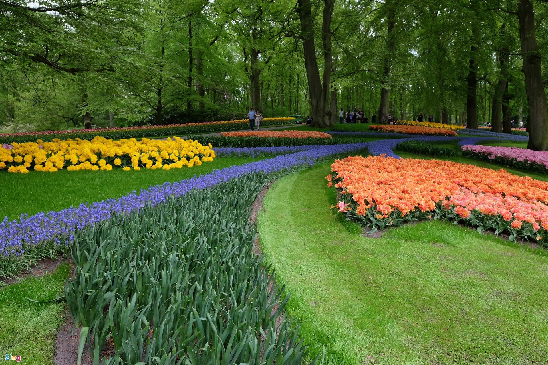 TSTtourist-noi-duoc-menh-danh-khu-vuon-cua-chau-au-11