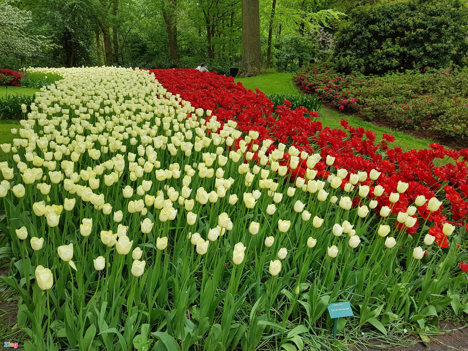 TSTtourist-noi-duoc-menh-danh-khu-vuon-cua-chau-au-4