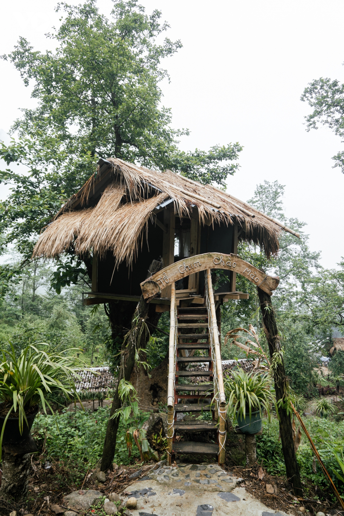 TSTtourist-sin-suoi-ho-ban-du-lich-cong-dong-nguyen-so-va-yen-binh-19