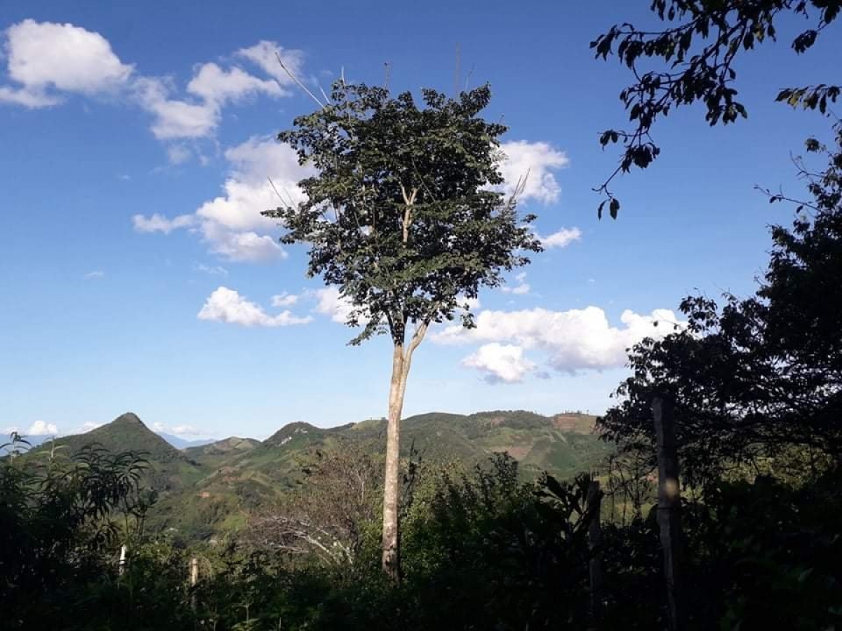 TSTtourist-tay-bac-mua-qua-nuc-nac-1