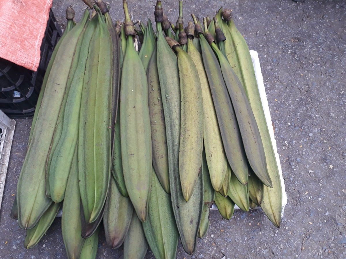 TSTtourist-tay-bac-mua-qua-nuc-nac-2