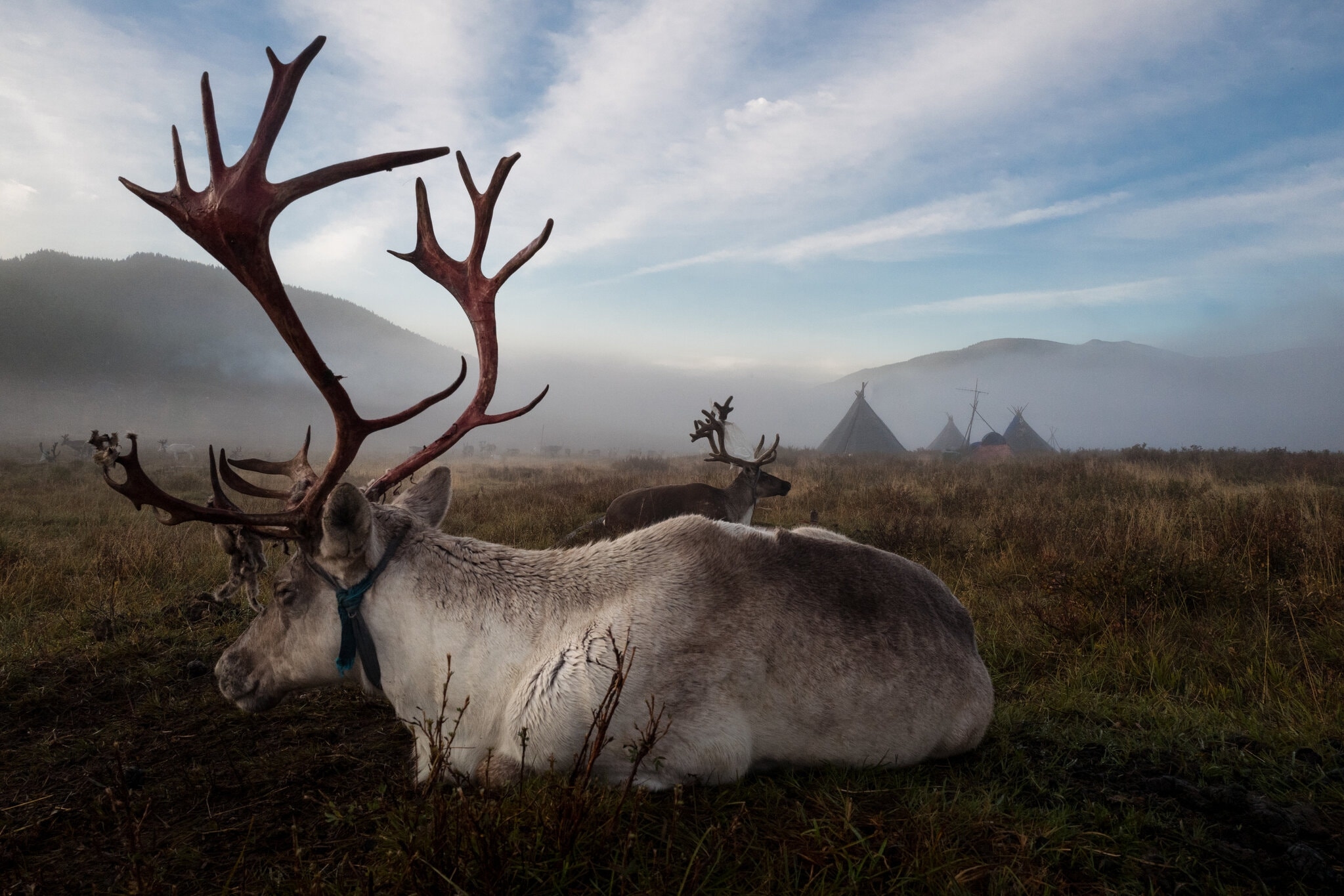 TSTtourist-theo-dau-chan-du-muc-mong-co-4