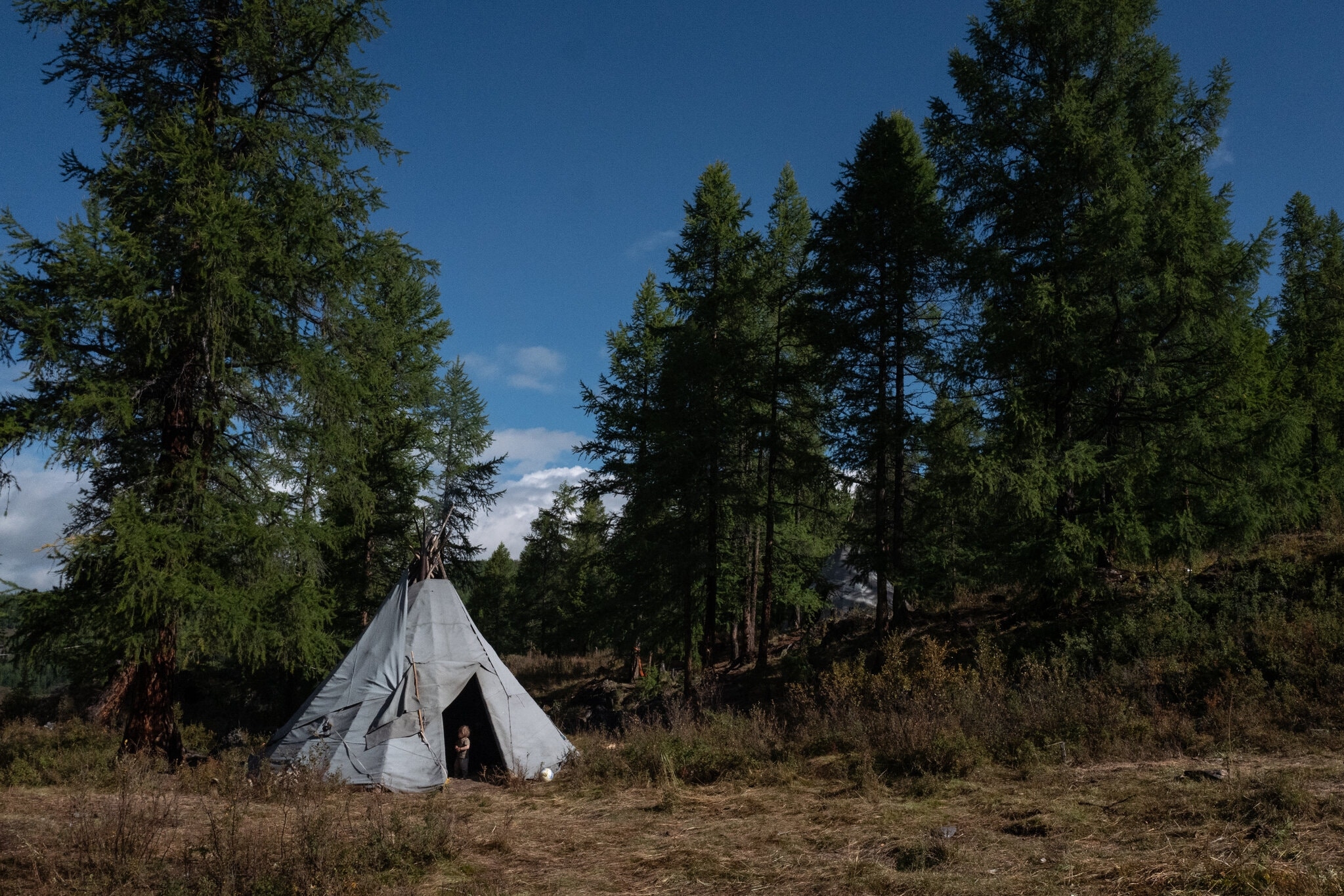 TSTtourist-theo-dau-chan-du-muc-mong-co-5