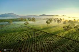 Gia Lai không chỉ có Biển Hồ