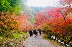 Nhật Bản dỡ bỏ yêu cầu xét nghiệm Covid-19 đối với du khách từ ngày 7.9