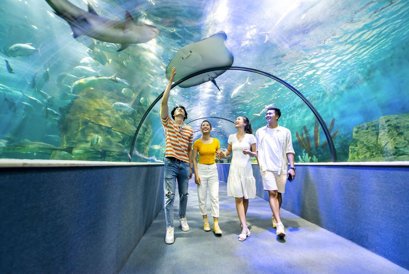 Để tiết kiệm thời gian và tối ưu chi phí, du khách xuất phát từ TP.HCM có thể đặt tour du lịch Hà Nội 3 ngày 2 đêm