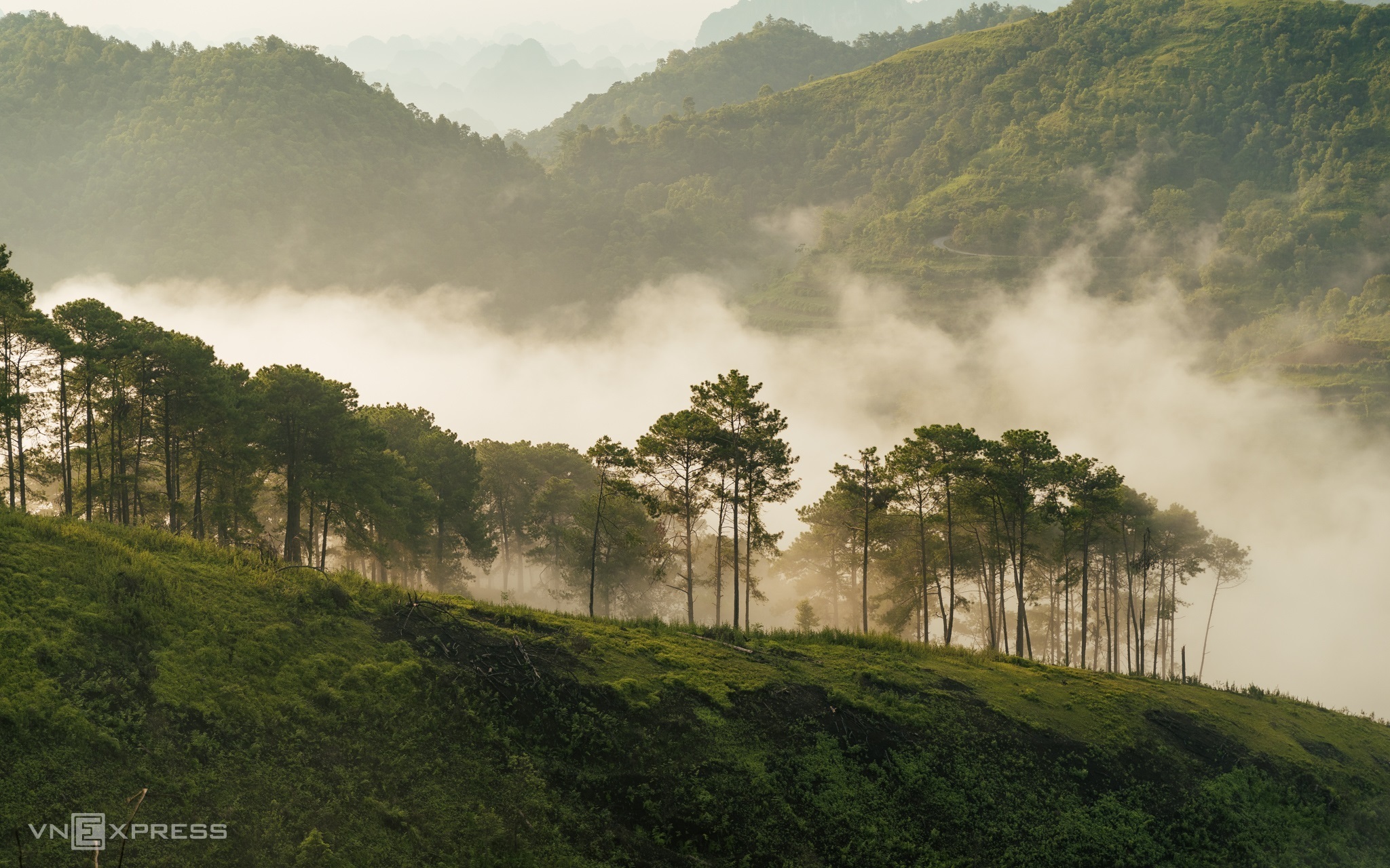 TSTtourist-doi-thong-nhu-da-lat-thu-nho-o-cao-bang-5