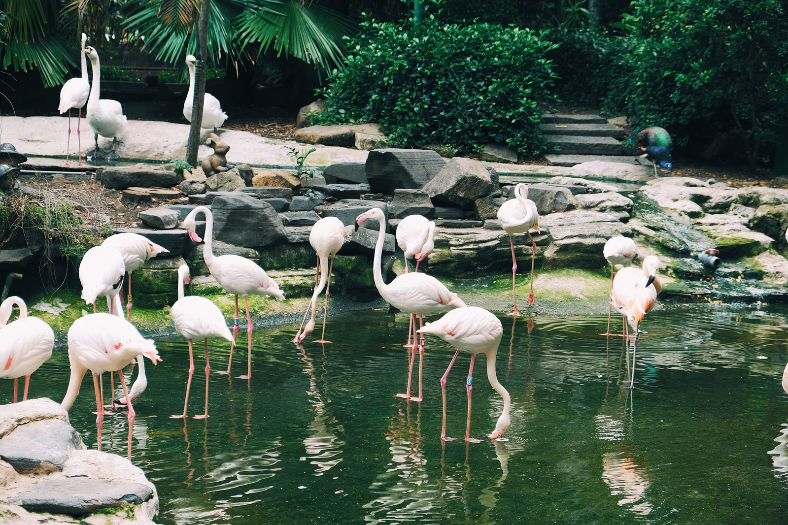 Không gian xanh ngát của Thảo Cầm Viên