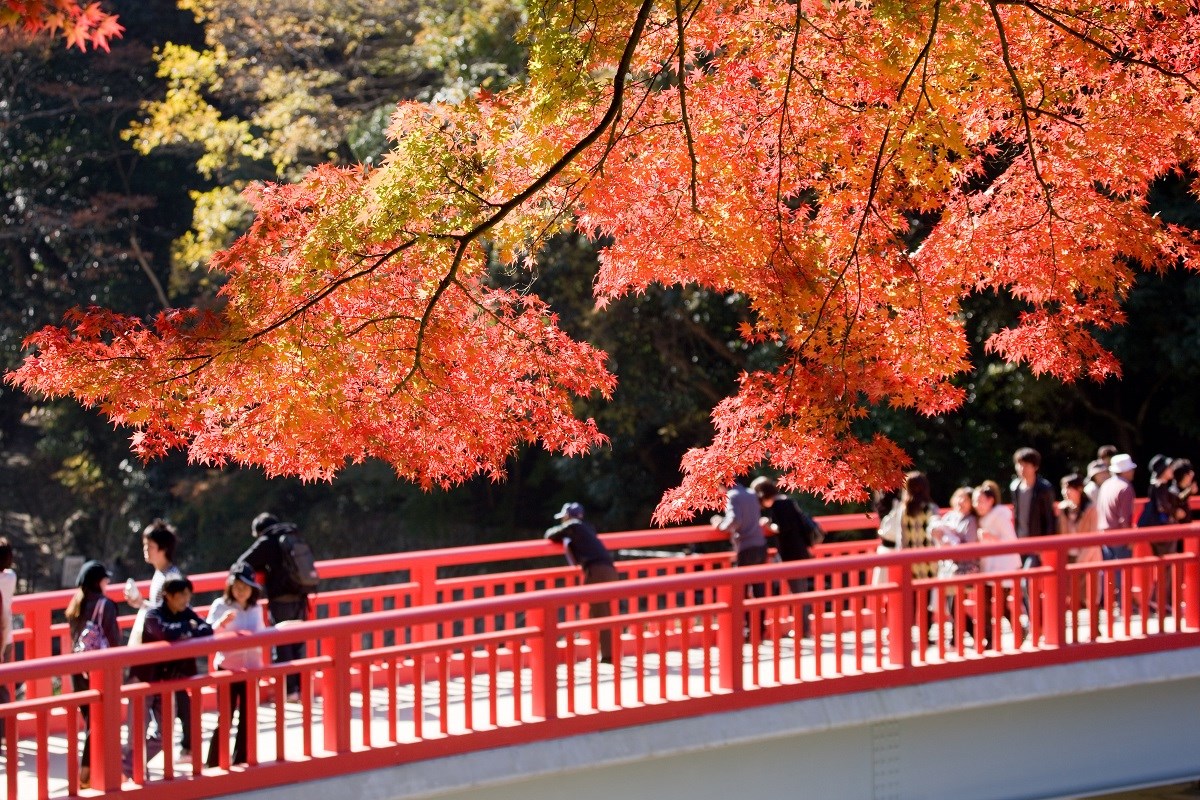 Cây cầu biểu tượng của công viên Korankei