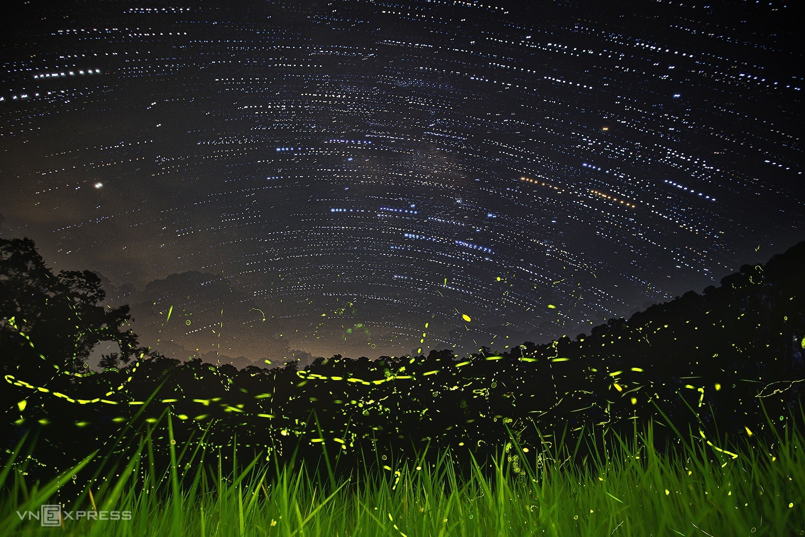 TSTtourist-dom-dom-trong-rung-cuc-phuong-9