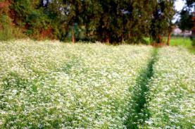 Ba điểm đến thiên nhiên ở Bà Rịa - Vũng Tàu