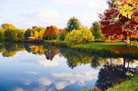 Mùa thu bình yên ở vùng sông nước Bỉ